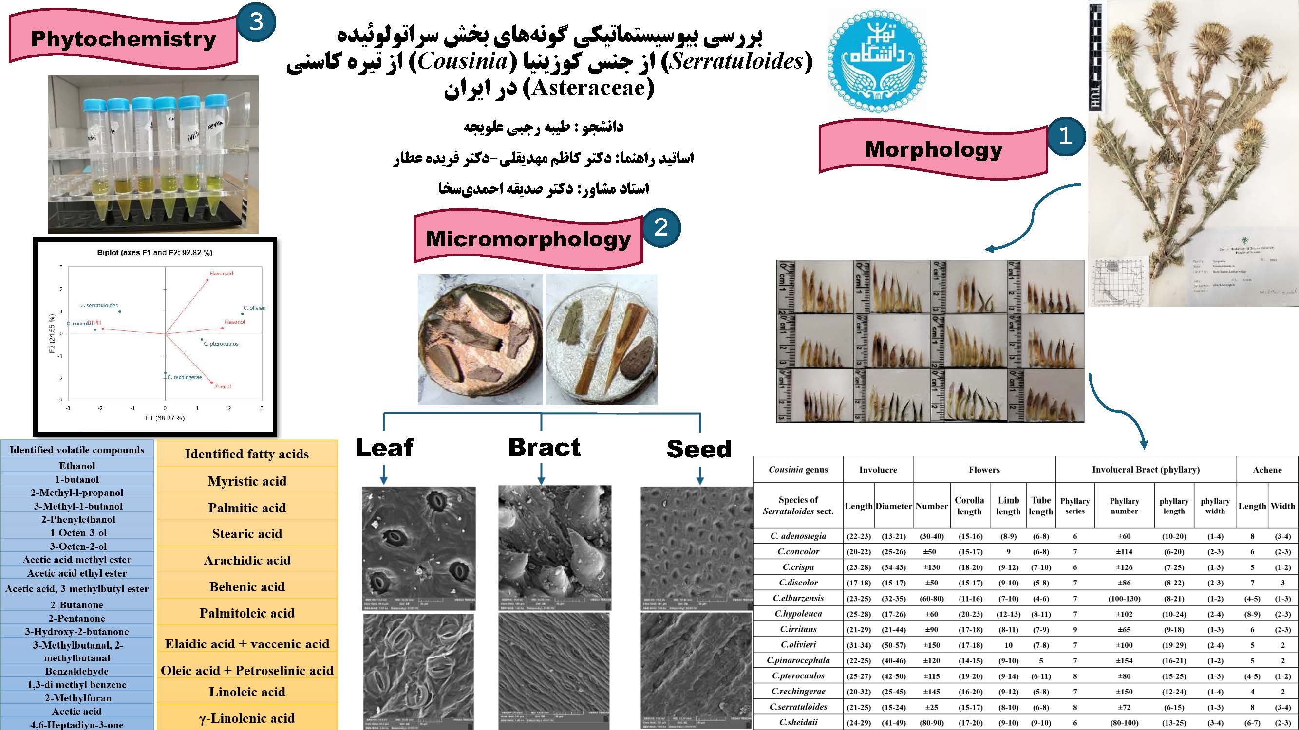 بررسی بیوسیستماتیکی گونه های بخش سراتولوئیده (erratuloides) از جنس کوزینیا (Cousinia) از تیره کاسنی (Asteraceae) در ایران