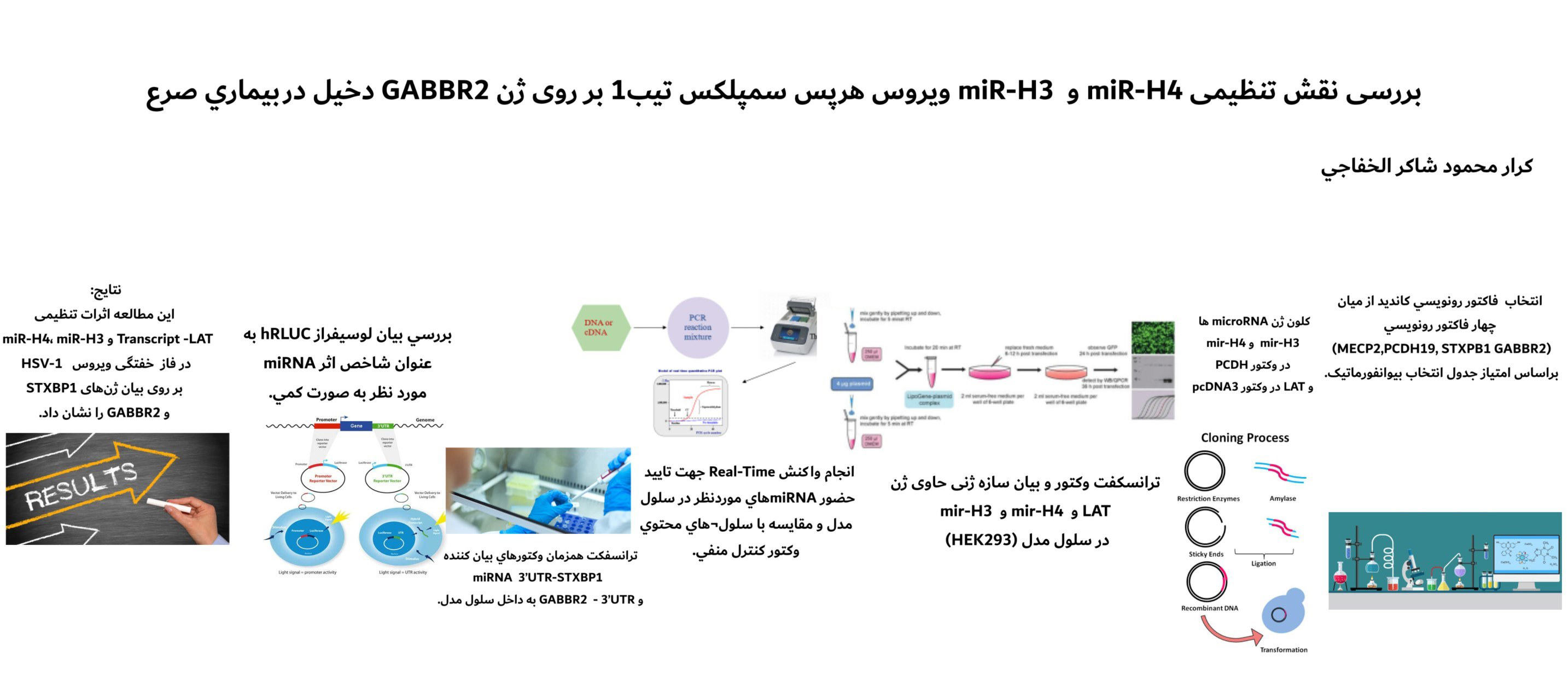 بررسی نقش تنظیمی miR-H4 و miR-H3 ویروس هرپس سمپلکس تیب1 بر روی ژن GABBR2 دخیل در بیماری صرع / کرار محمود شاکر